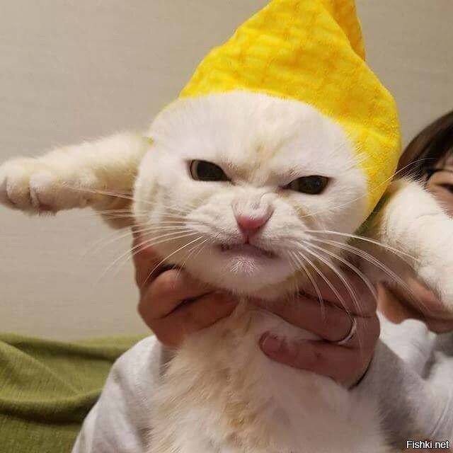 когда просыпаешься утром в понедельник, когда едешь на дачу копать грядки, ко...