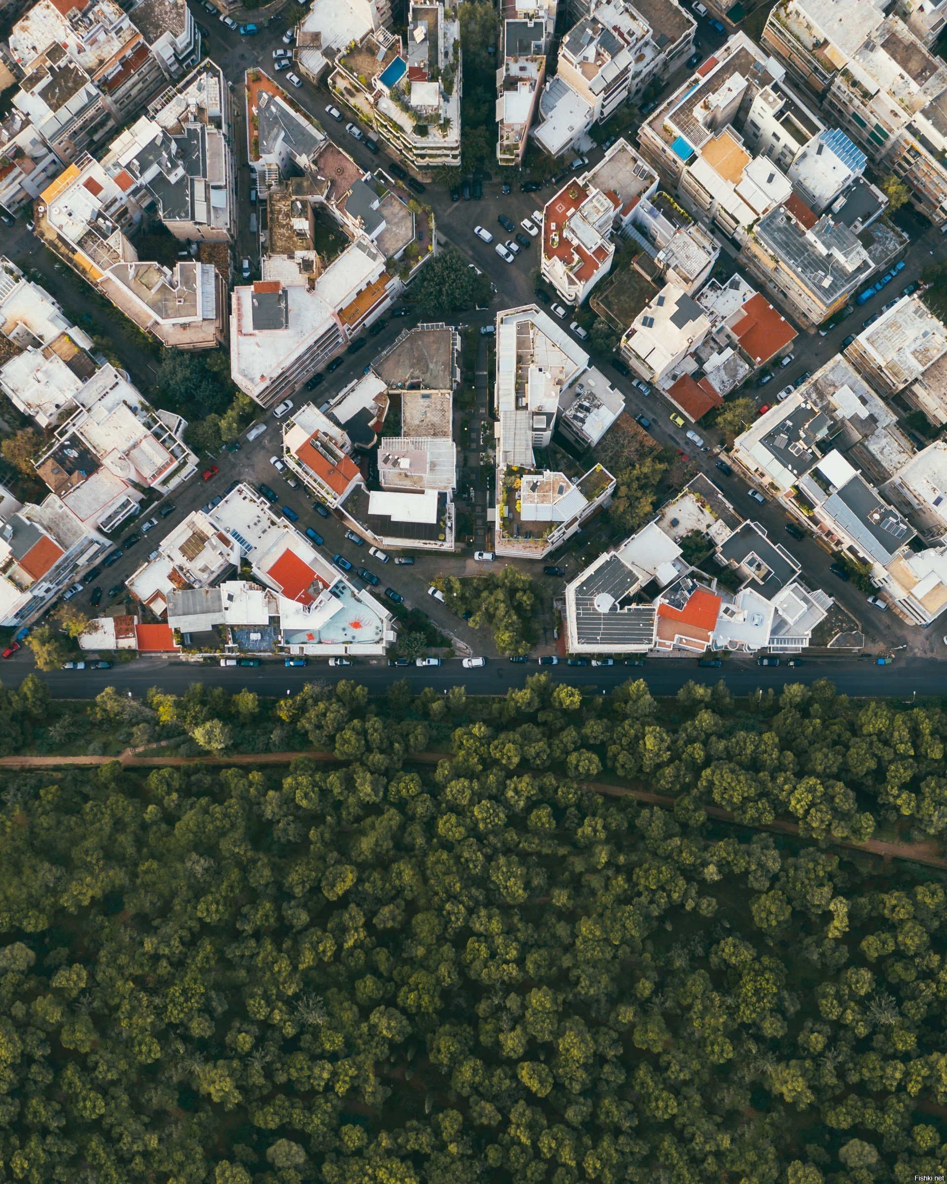 Граница миров