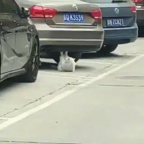 Есть два типа людей