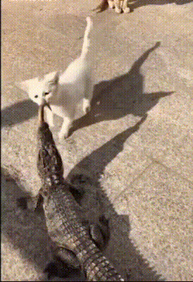 Так, сырьё для сумок, здесь на всех было