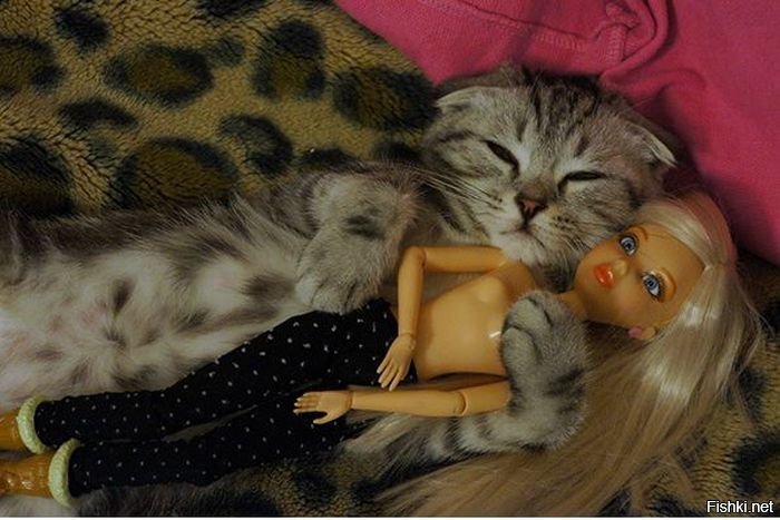 Котейка, сиськи - всё что нужно жителям солянки