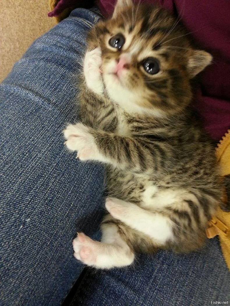 Эй,о чем думаешь