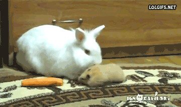 - Извините, пропустите, мне надо