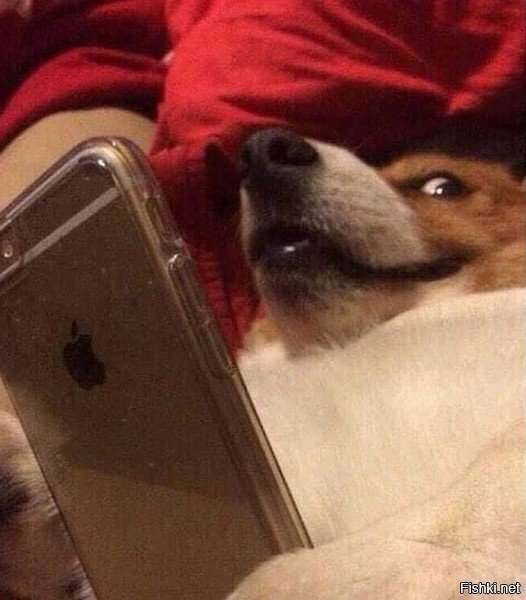 Лишь бы не спалили