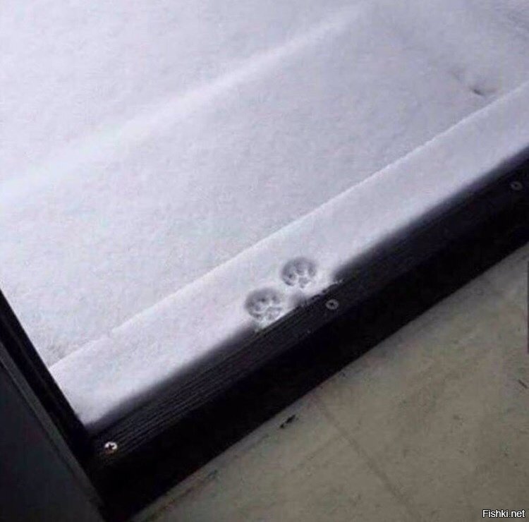 Совсем не хотелось