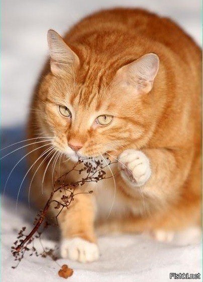 Оочень невкусна