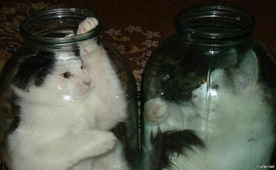 Межбанковские контакты