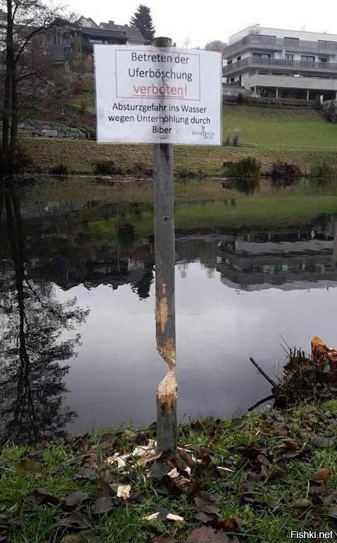 "По склону к реке не ходить