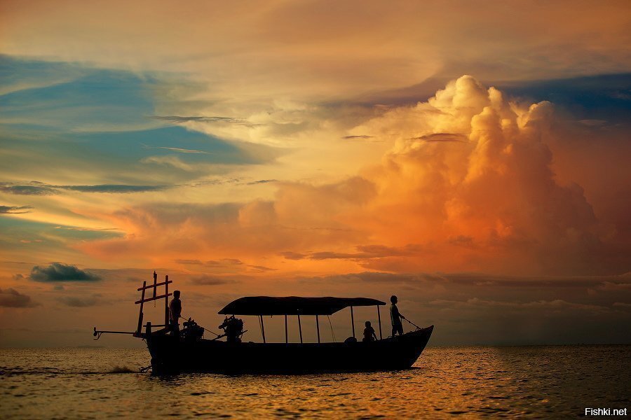 Всем спокойной ночи