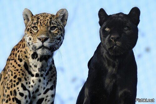 До завтра парни 