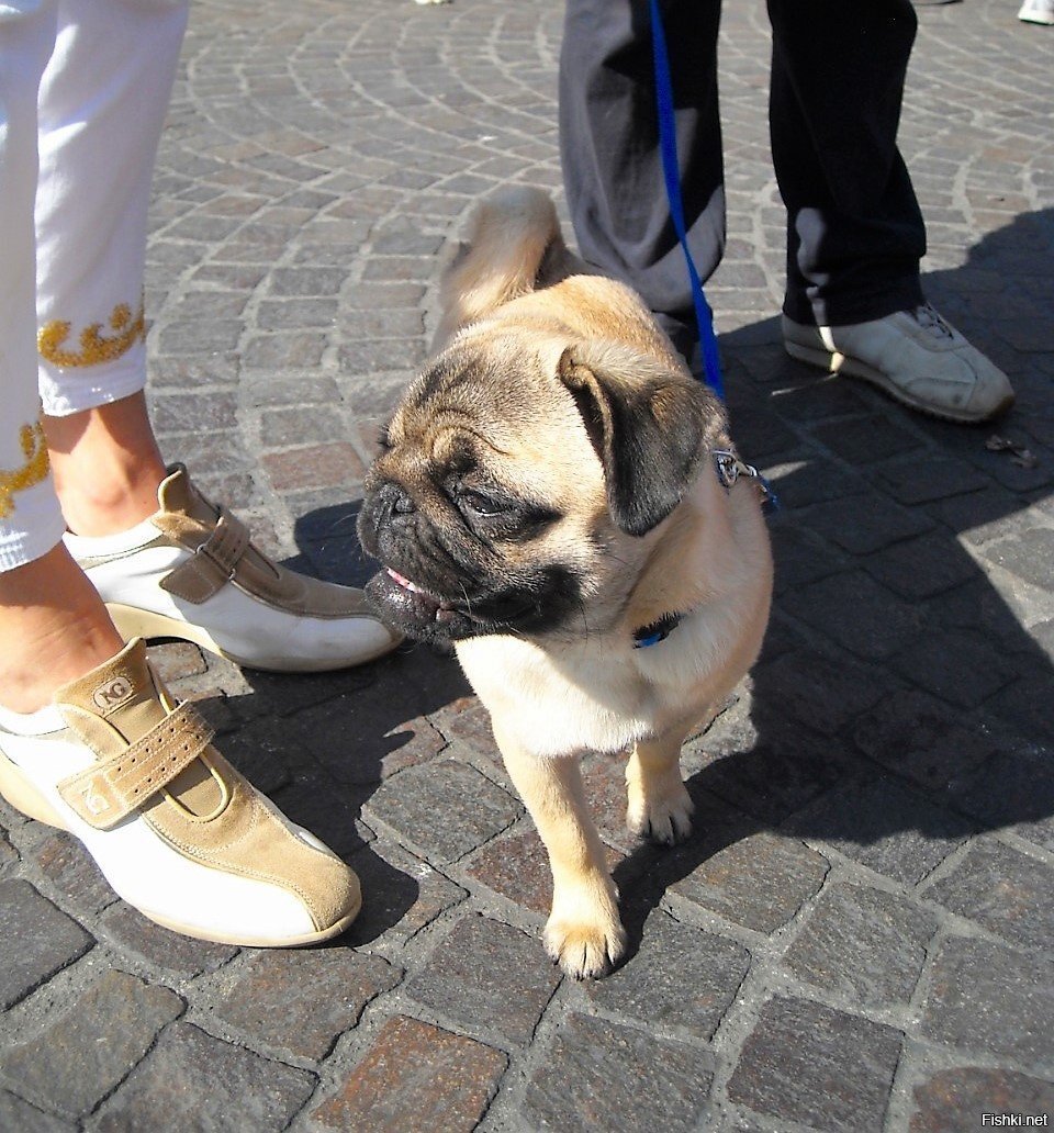 Доброй ночи