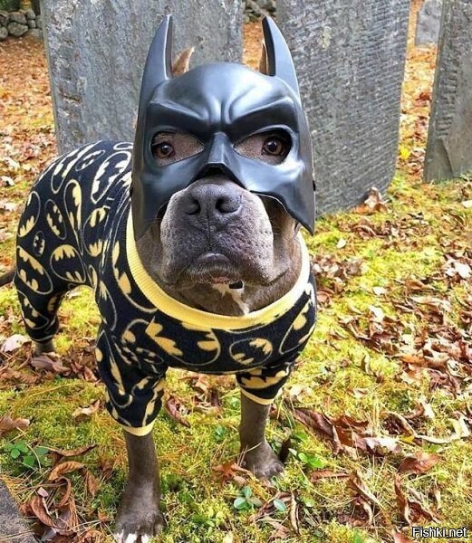 Ну, доброе, так доброе