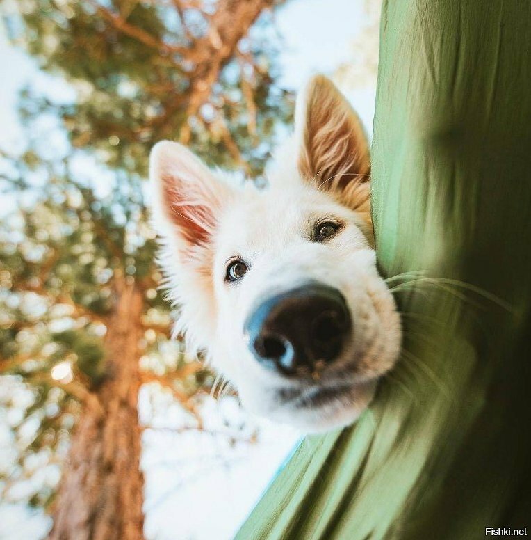 Ну че проснулись