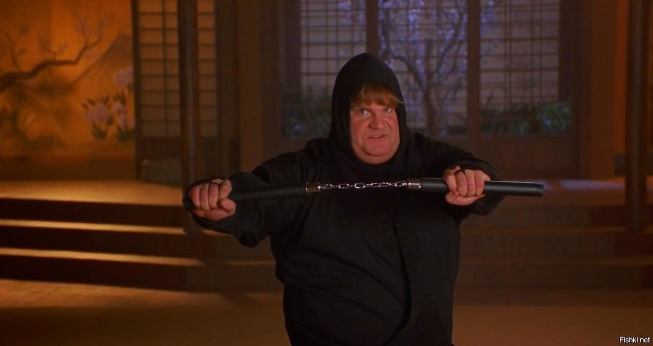 День ниндзя 