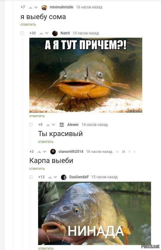 Солянка
