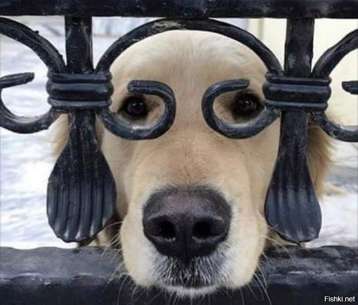 Таки здрасти