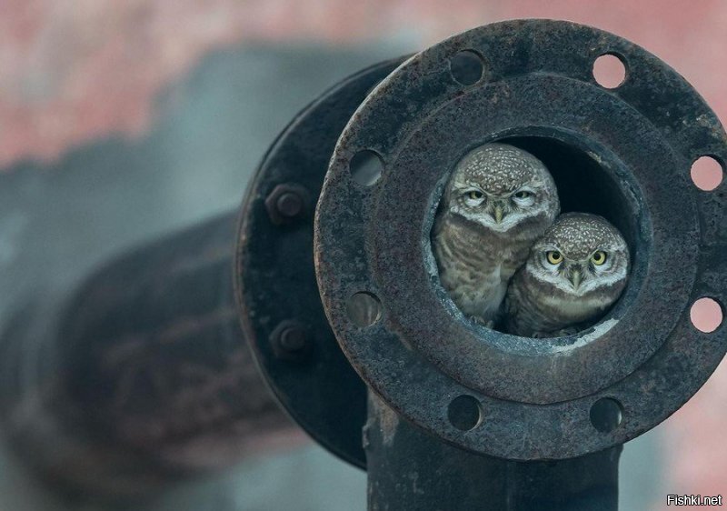 Что это было