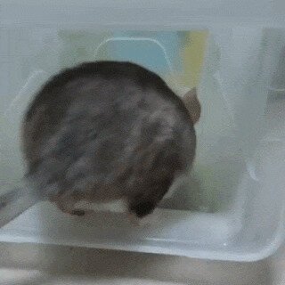 Вот это тусовка