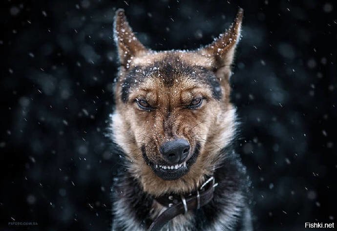 Что-то хотели спросить