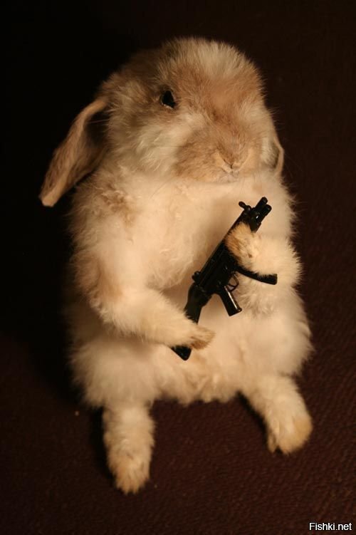 Кролики захватят мир