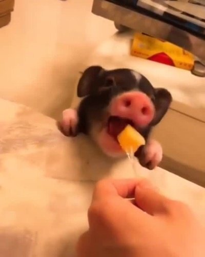 Этот кубик положил стрелку на мимимиметре