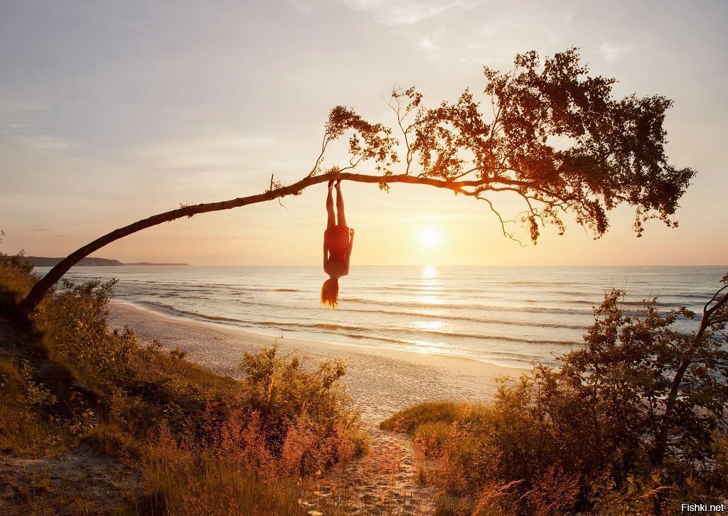 "Прирожденные сестры милосердия" (триллер)