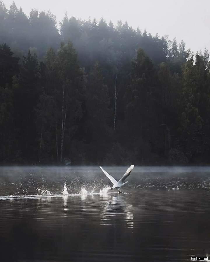 Разрешение на взлёт получено