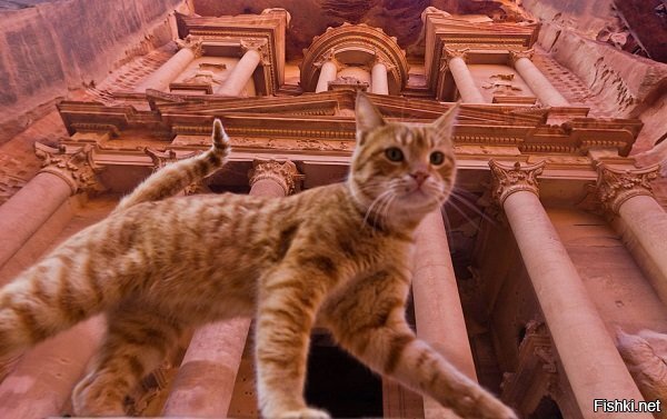 Рыжий на фоне древнего города Петра