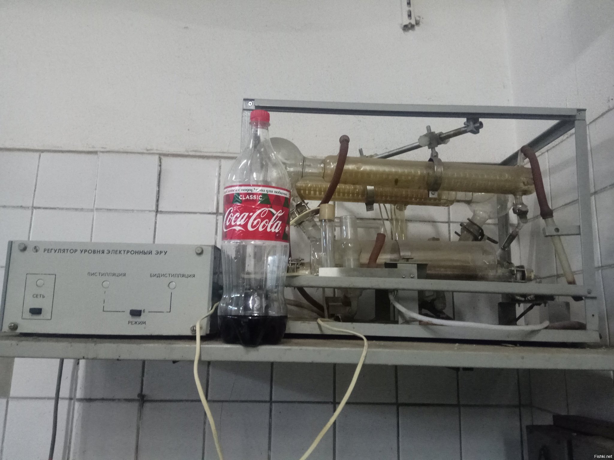 Праздник к нам приходит, праздник к нам приходит