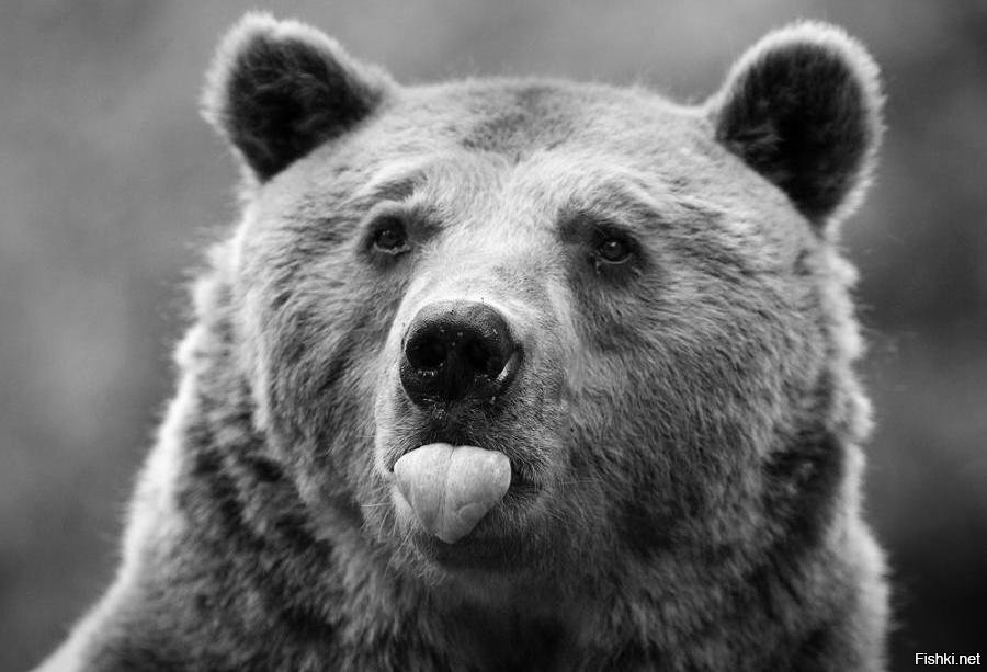 Вы это, того, спокойной всем, короче