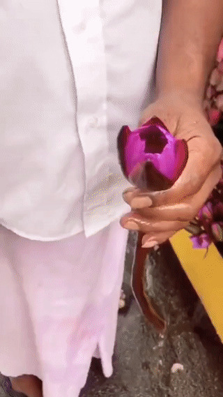 Заклинатель цветов