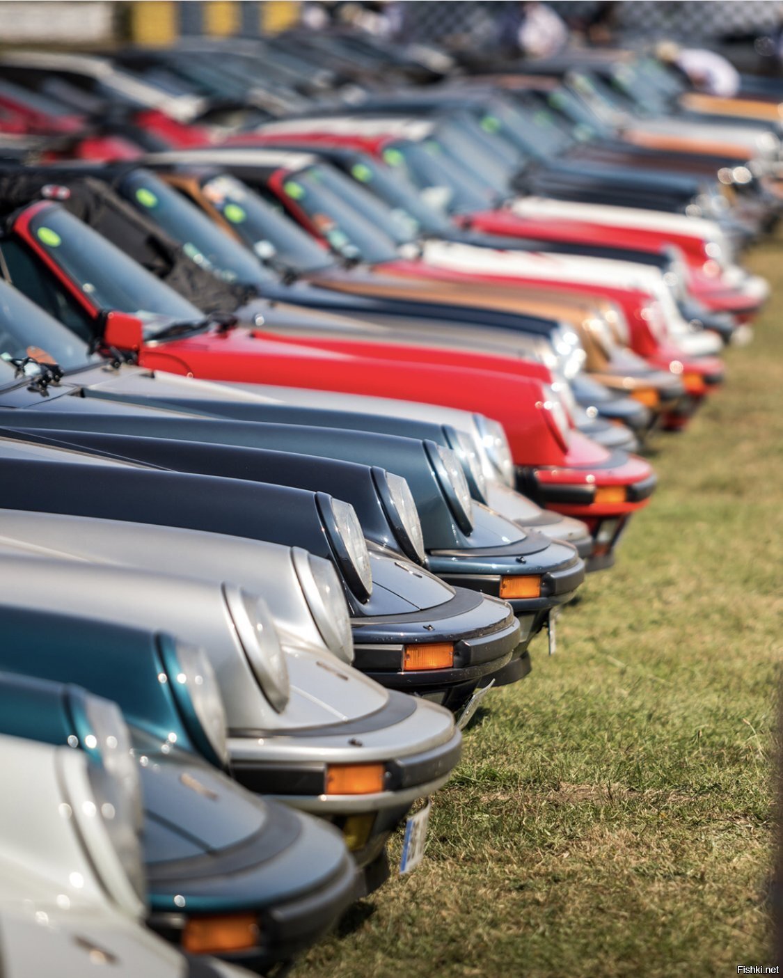 Типовые гламурные телки Москвы)