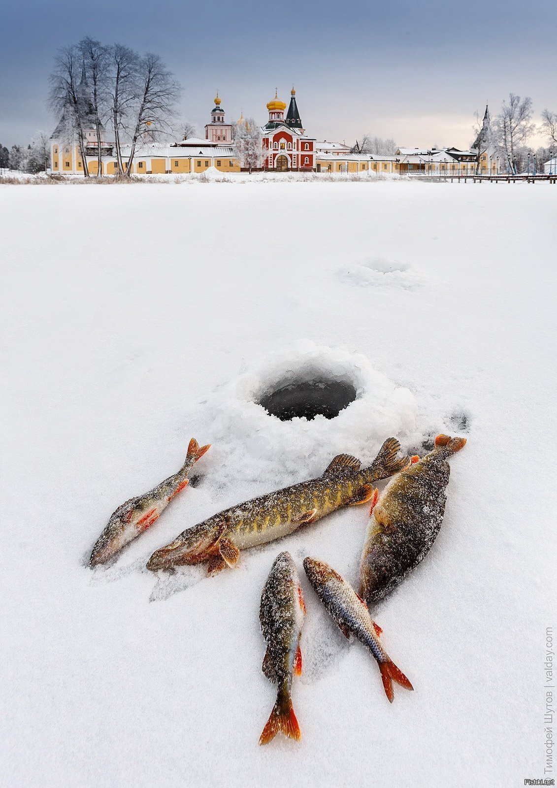 "Особенности валдайской рыбалки"