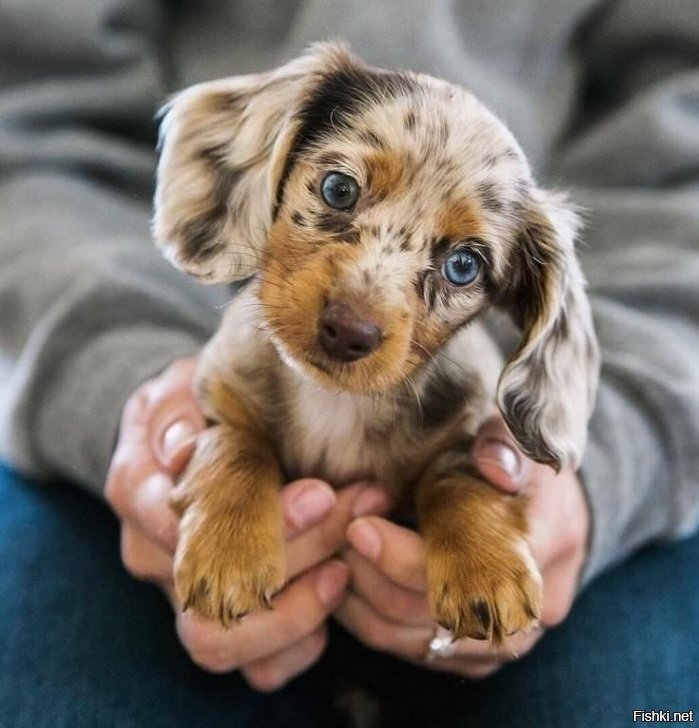 Всем привет