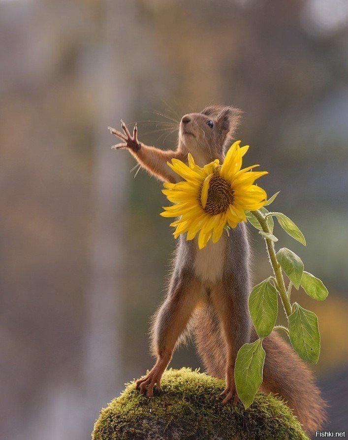 Здрасте всем