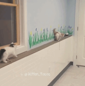 - Не поймаешь, не поймаешь