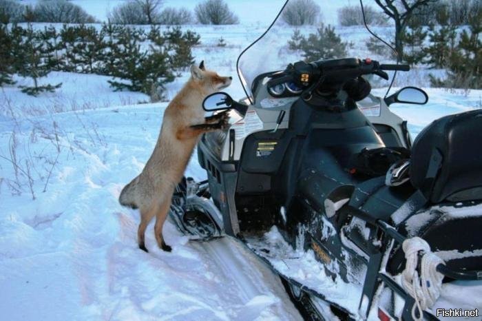 Я не с целью угона , чисто до норы доехать