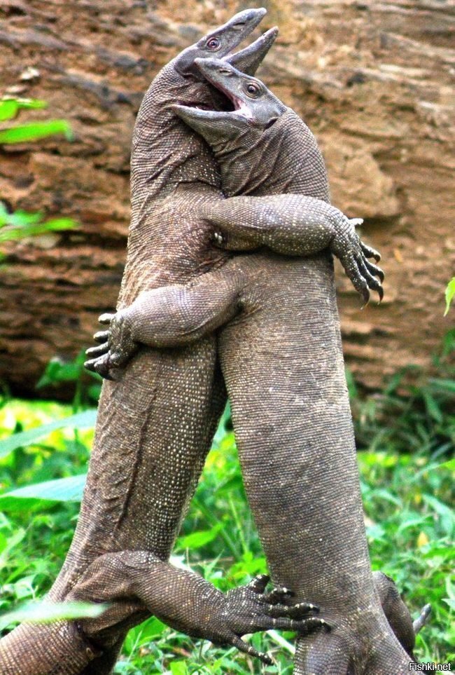 Сколько лет, сколько эр