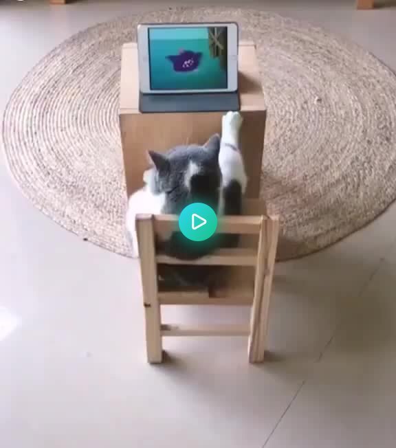 Том и Джерри