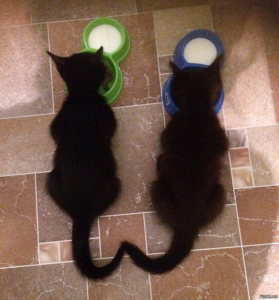 Опять работать