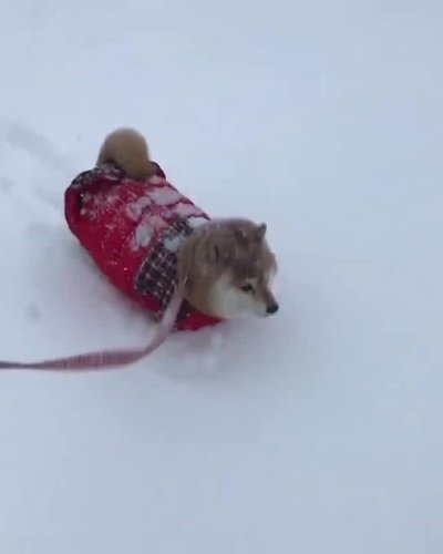 Бодрого вечера)