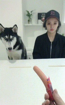 Совесть у вас есть человеческая