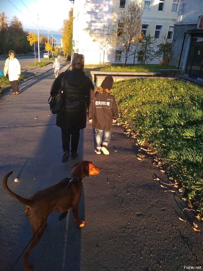 Ошибка молодости