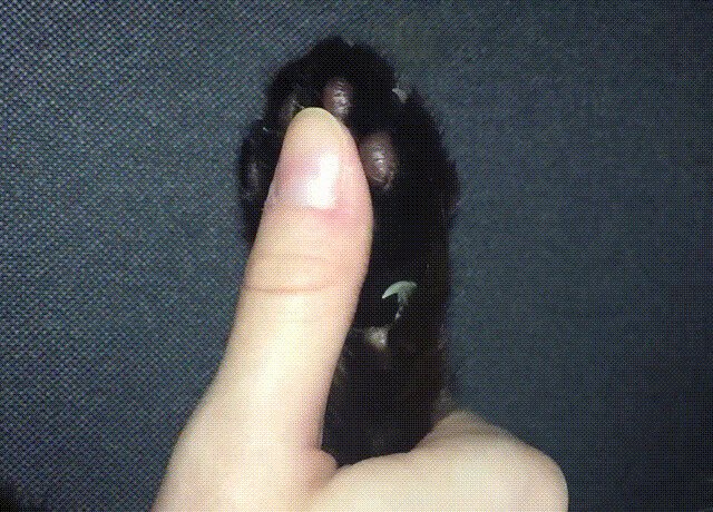 Ваш отпечаток пальца не соответствует оригиналу