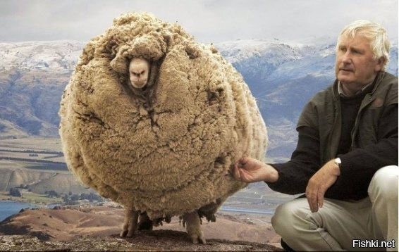 6 лет без стрижки