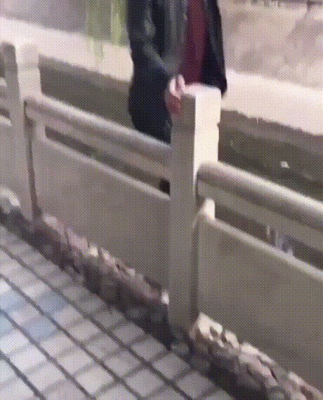 Забор, сделанный в Китае