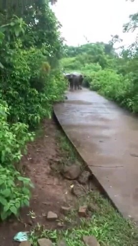 Двум бандам тесно с этой деревне