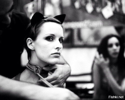 Еще немного кошечек