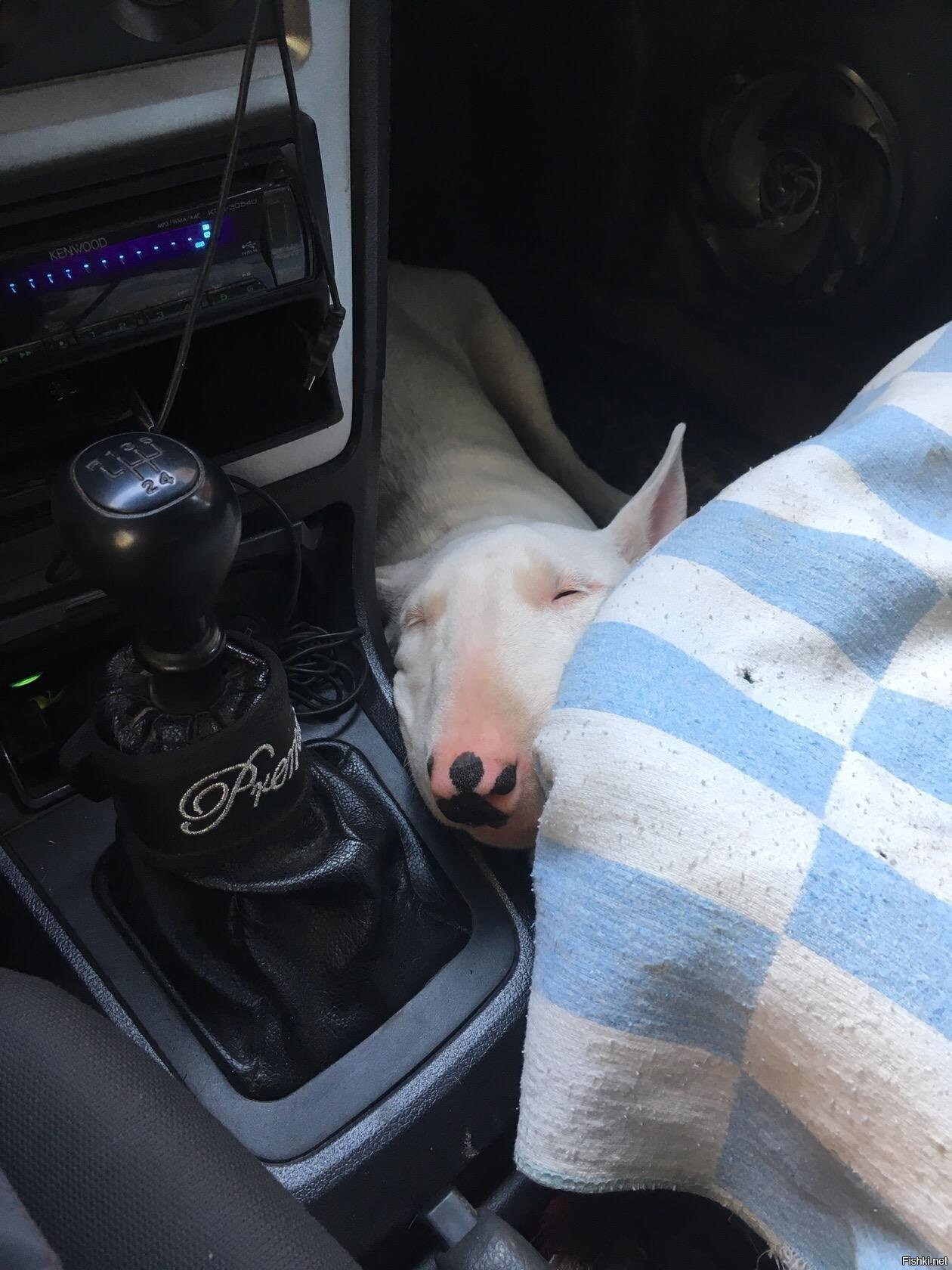 третью вруби,диот