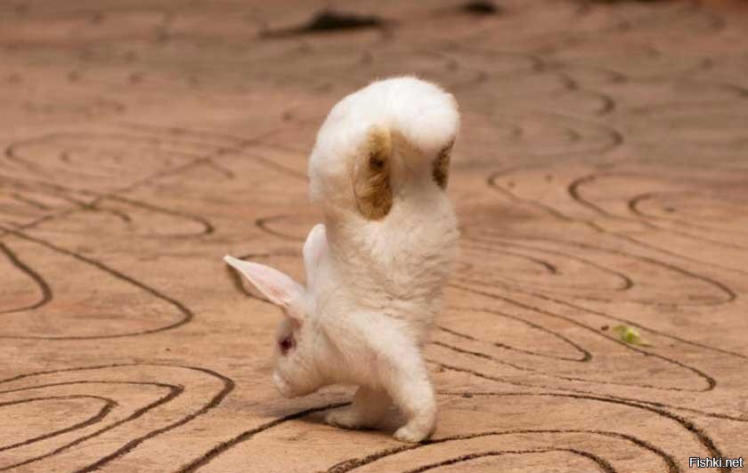 Спокойной всем ночи